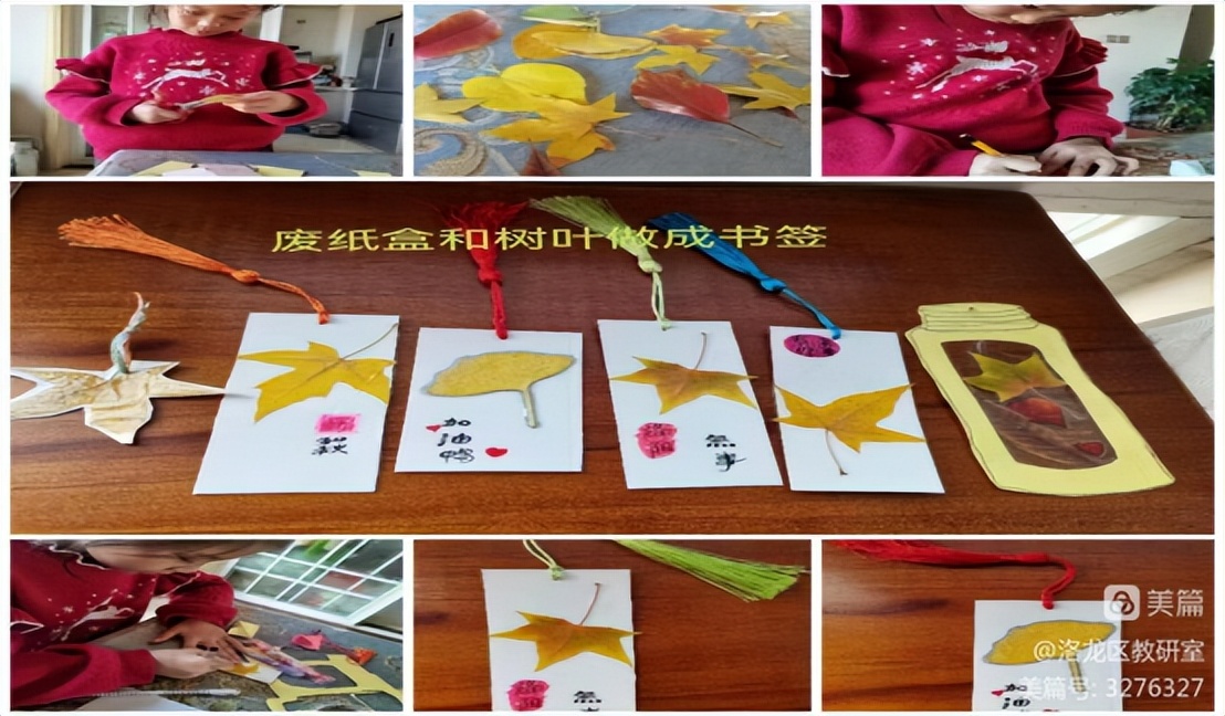 洛龙区未来小学“线上教学”经验分享（二十四）