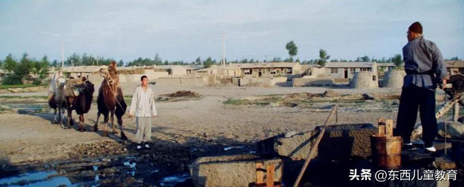 有哪些初看不以为意年纪越大越觉得是神作的书？知乎最高赞竟是它