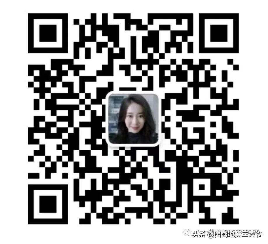 不用土壤也能种出蔬菜,无土栽培蔬菜自来水