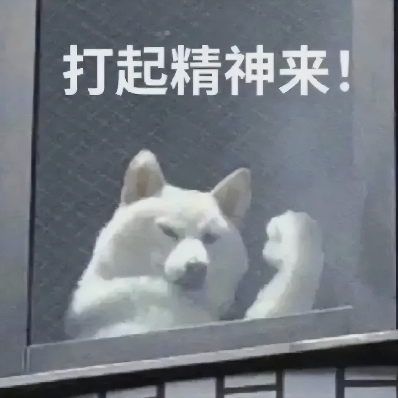 东莞长安金宝电子厂最新福利,长安工厂员工优惠