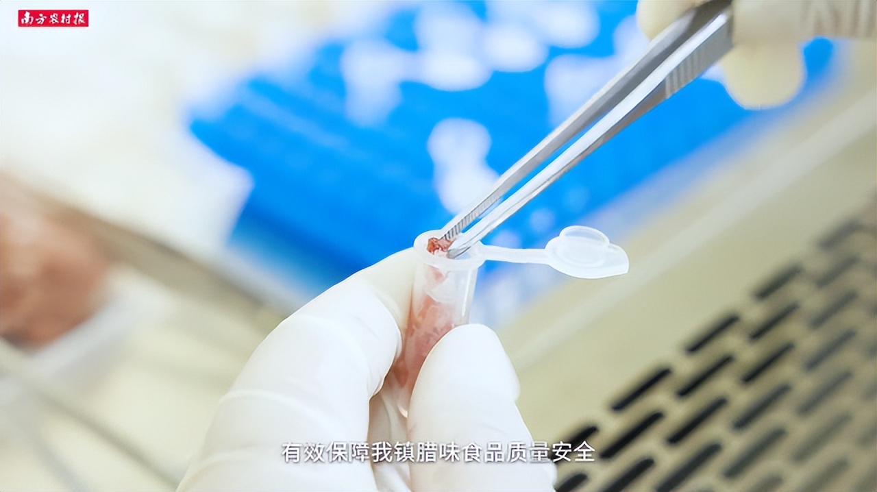 视频|飘香百年，匠心传承！黄圃腊味产业园宣传片重磅发布