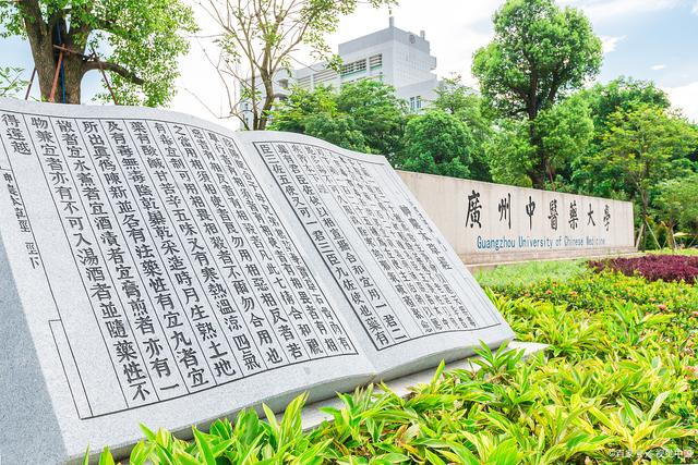 学中医为什么要学西医,中医和西医哪个更好学