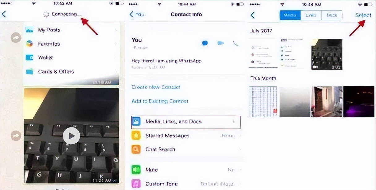 外贸whatsapp如何开发客户,分享外贸知识