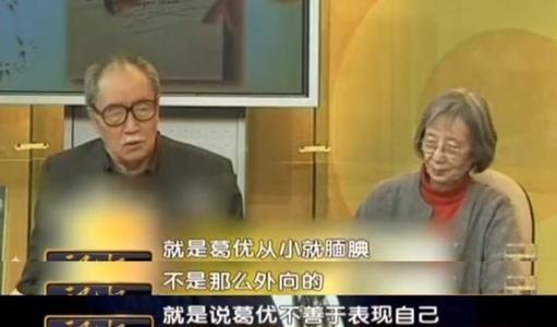 葛优夫妇为什么选择丁克,丁克和葛优是什么关系