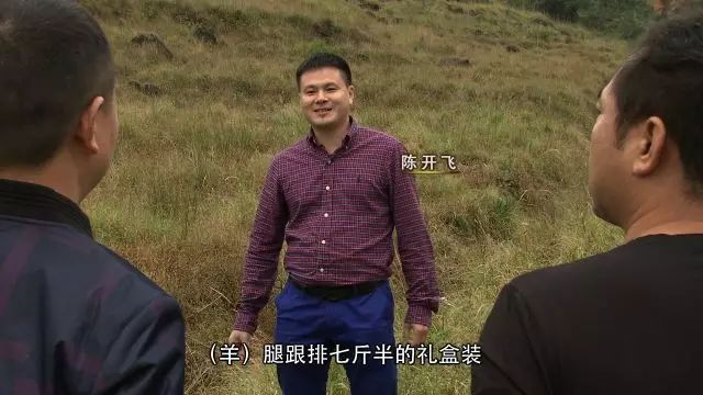 硕士回村做养殖一年净赚10万元,养山羊一年赚40万