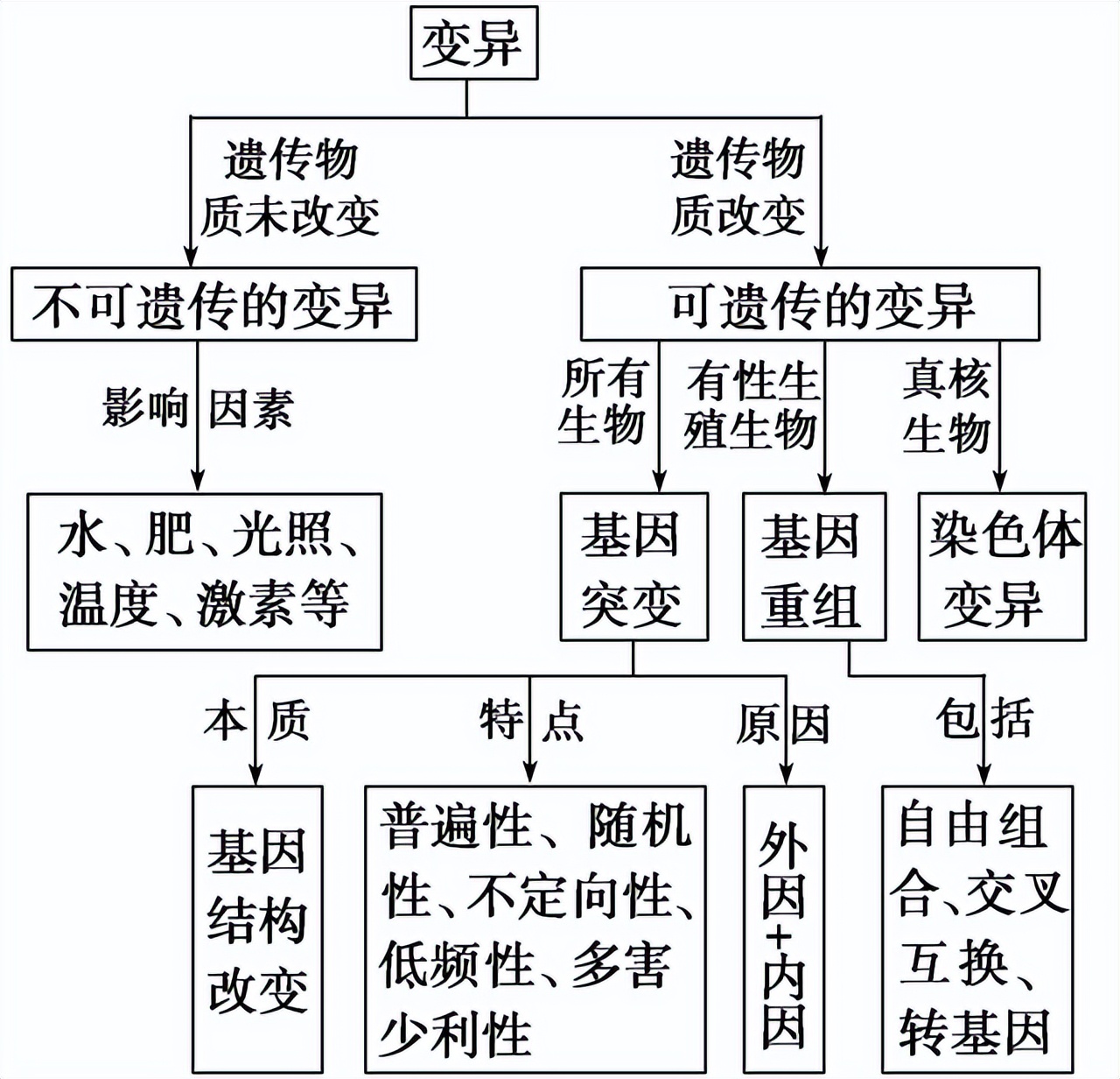 高中生物变异和育种知识点,高中生物变异育种进化思维导图