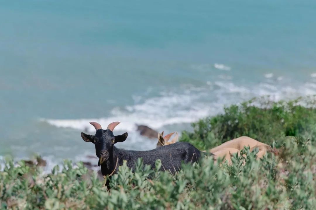海美、小吃巨好吃！这个神还原游戏世界的小城，不该这样被埋没！