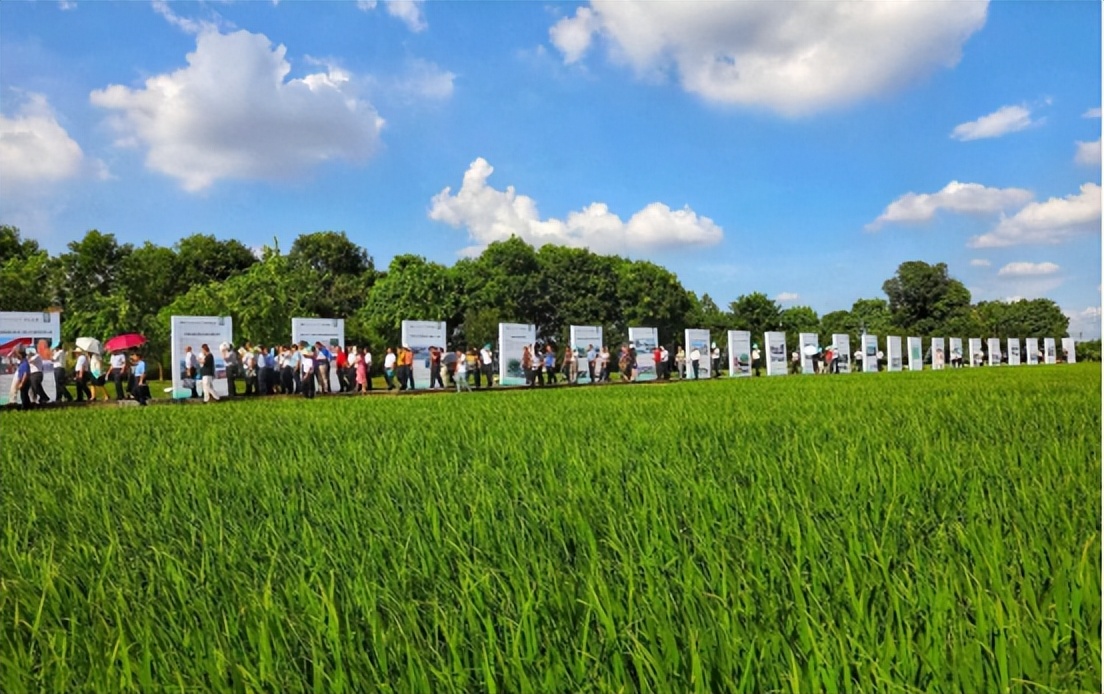 直播电商对实现乡村振兴有何意义,乡村振兴电商带动群众致富