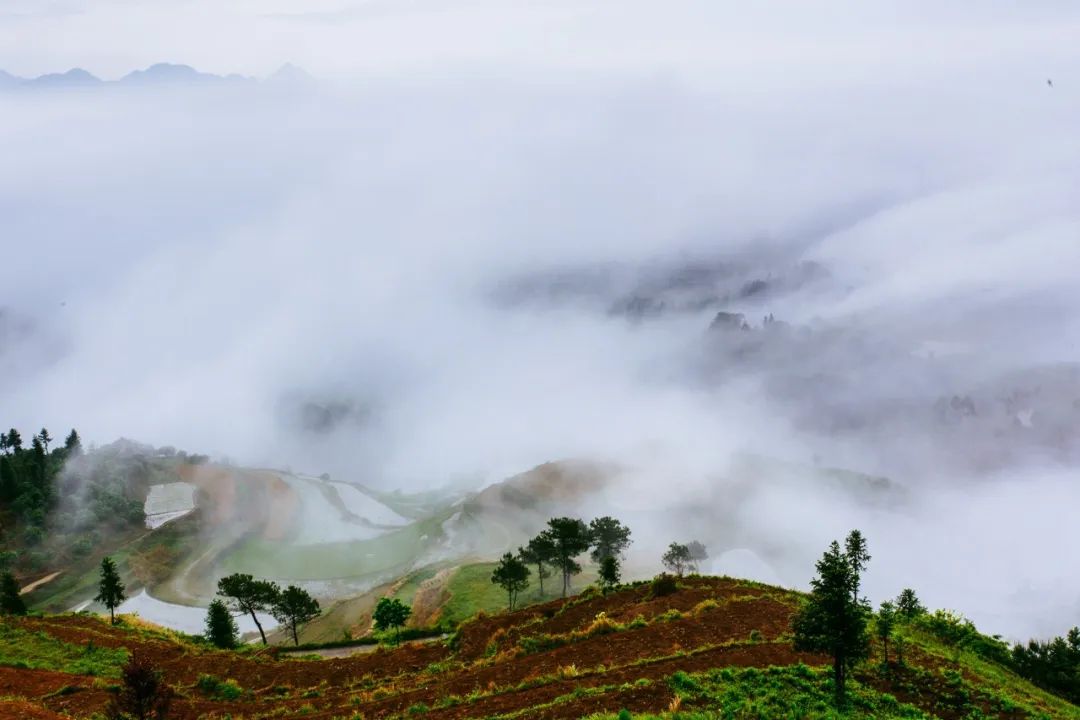 10篇好的古文,10篇经典古文诵读