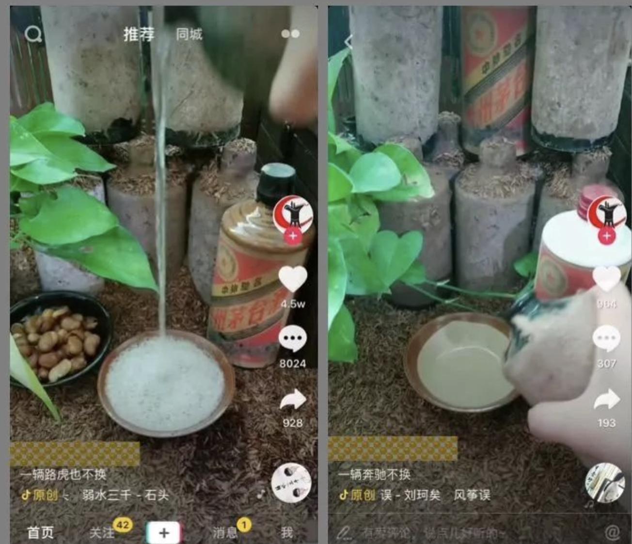 洞藏老酒、酒糟埋酒、竹筒酒、发霉老酒都是假冒伪劣，你被骗过吗