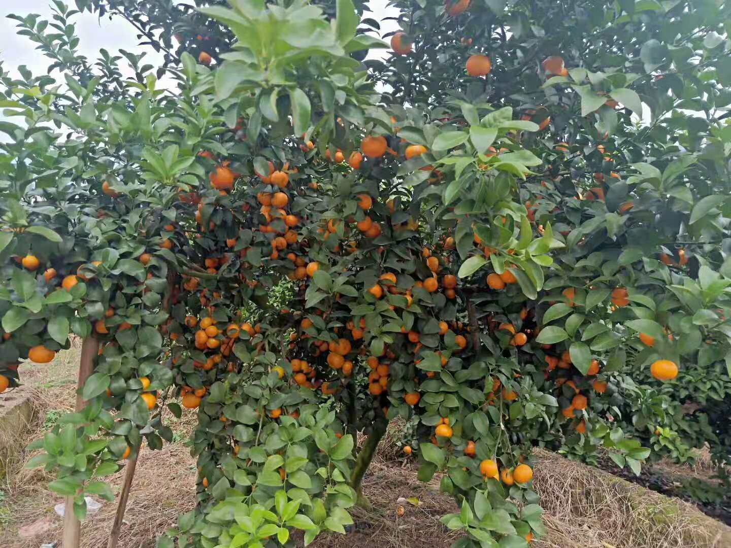 行业不景气怎么办,行业不景气如何创业