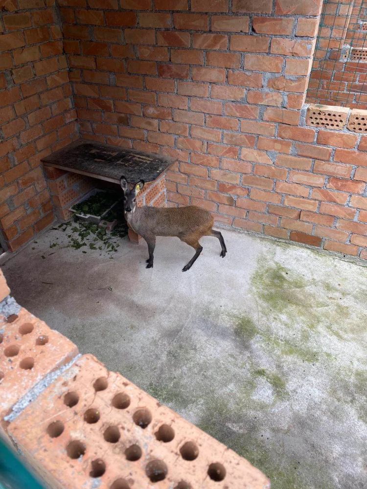 以点带面促营销,以点带面是什么效应