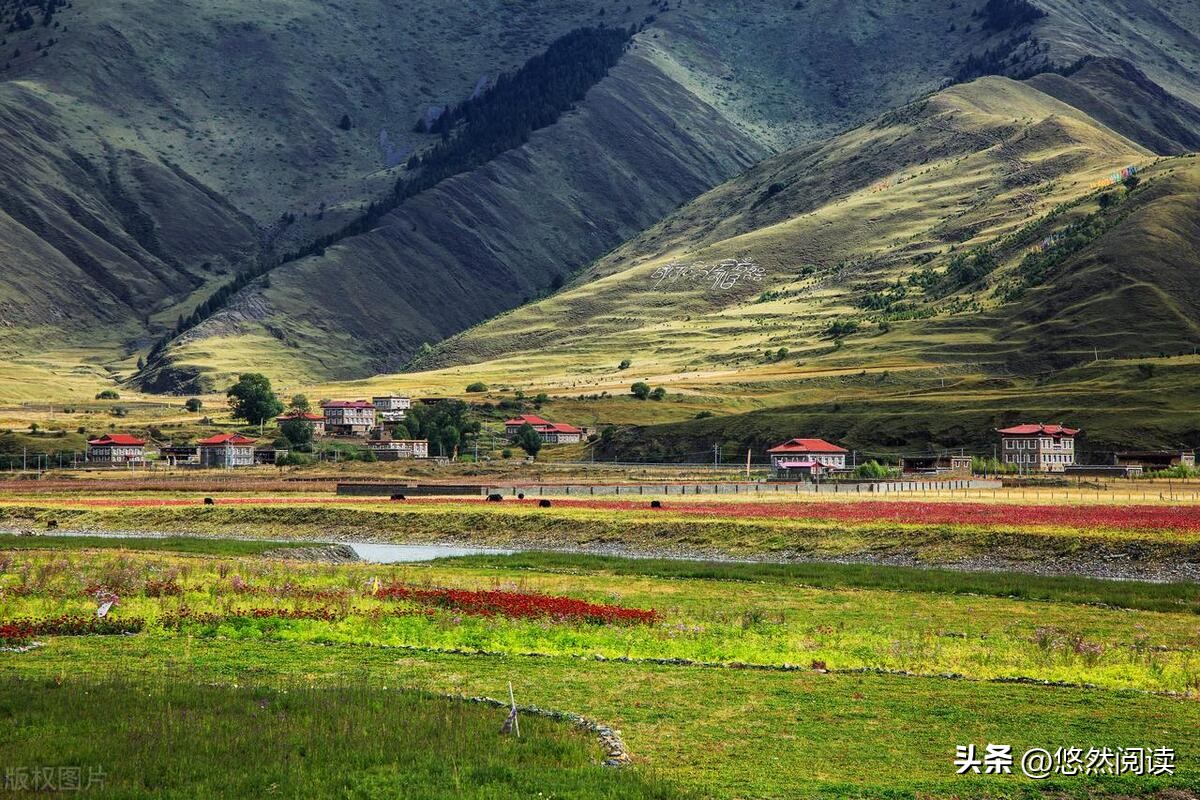 如果你还没读过植物学家阿来的“山珍三部”，那真是你的遗憾