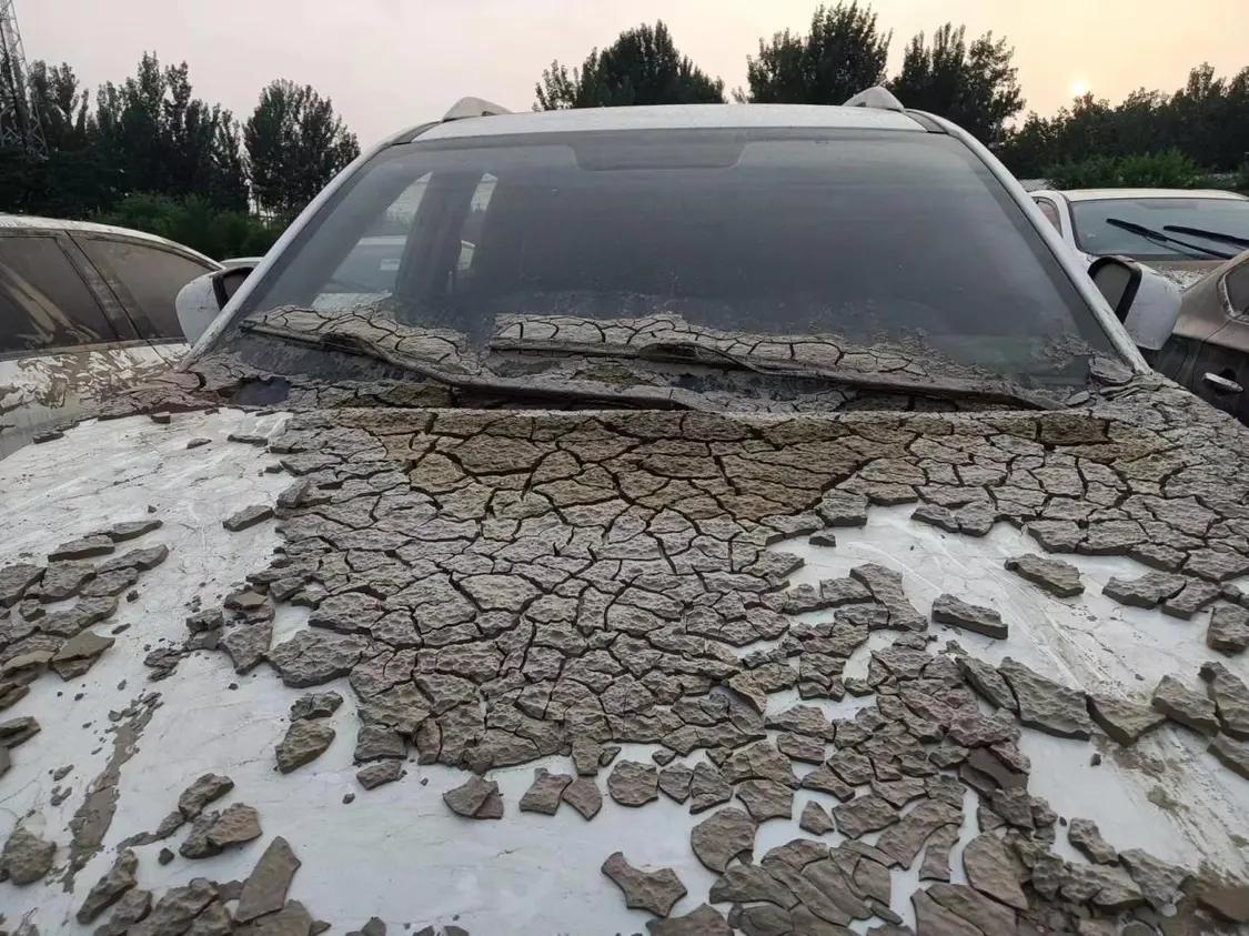 风暴眼马尚受伤,风暴眼受伤