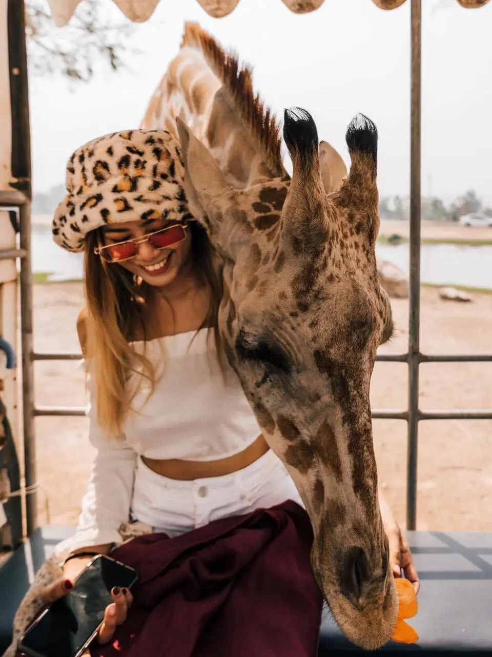 泰国曼谷旅游必去十大景区,泰国野生动物园亲子游