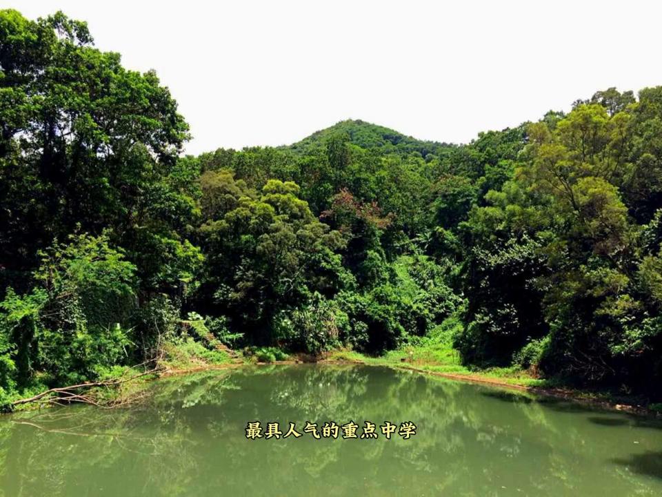 深圳市福田区红岭高中,红岭中学高中部2024开放日时间