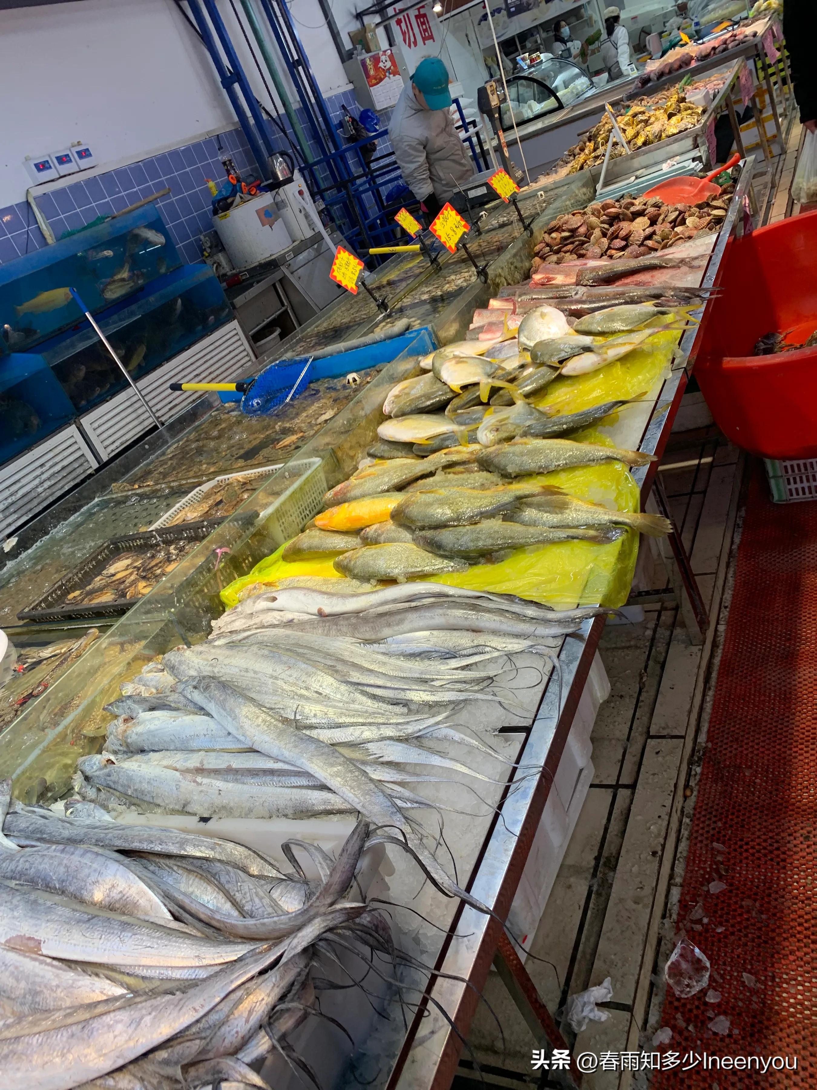 生活本就是不停的奔波,元旦将至忙忙碌碌