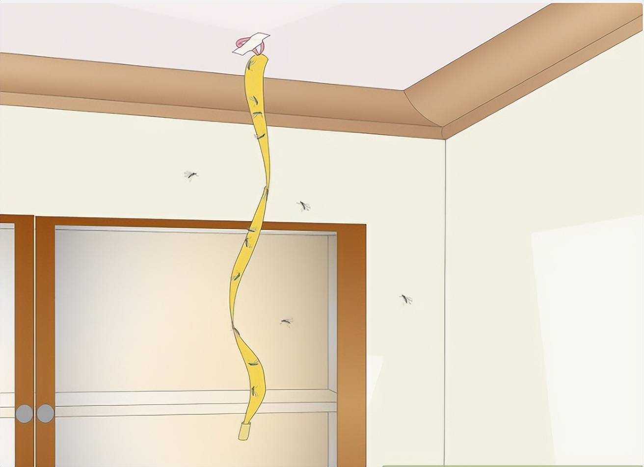 怎么消除厨房的小蚊子,怎么去除厨房异味和蚊虫