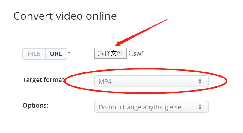 swf格式转换mp4无图像有声音,swf转换mp4用什么软件