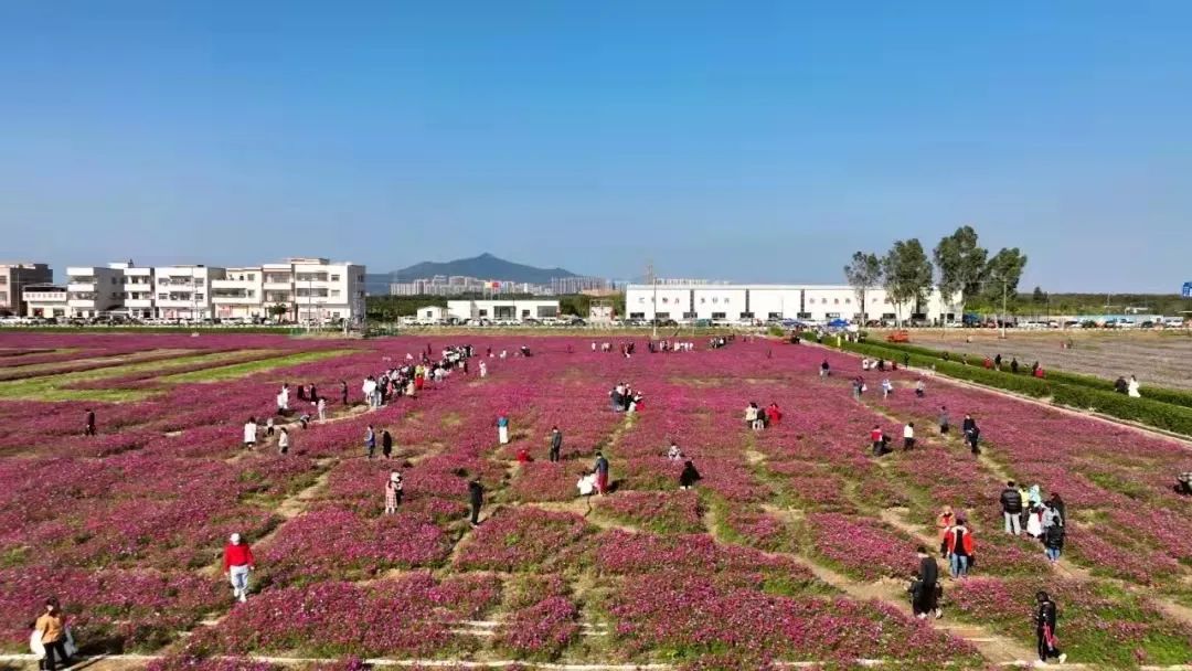 珠海斗门金湾遛娃好去处免费,金湾遛娃好去处