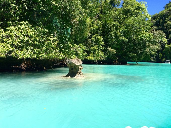 大洋彼岸的国家，充满神秘色彩和恐怖美食的帕劳