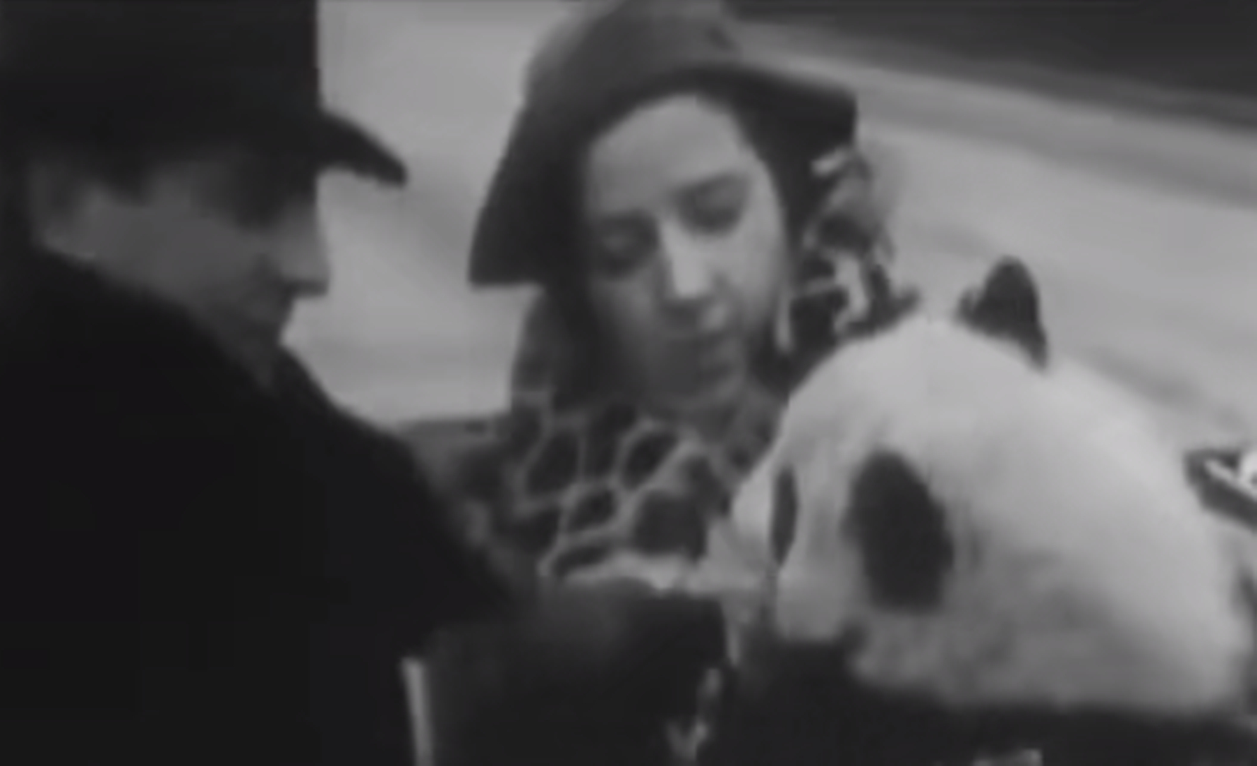 1937年大熊猫被外国人偷走,1939年被伦敦偷走的大熊猫