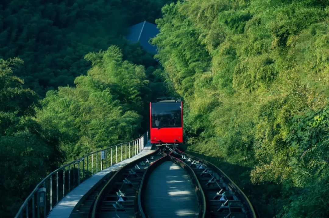 夏天凉快风景好又有水的旅游景点,夏天旅游景点哪里最好玩