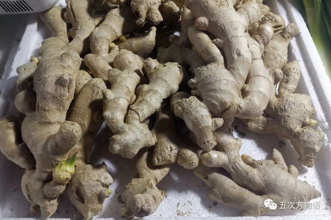 12种香料及分量,姜科植物的香料有哪些