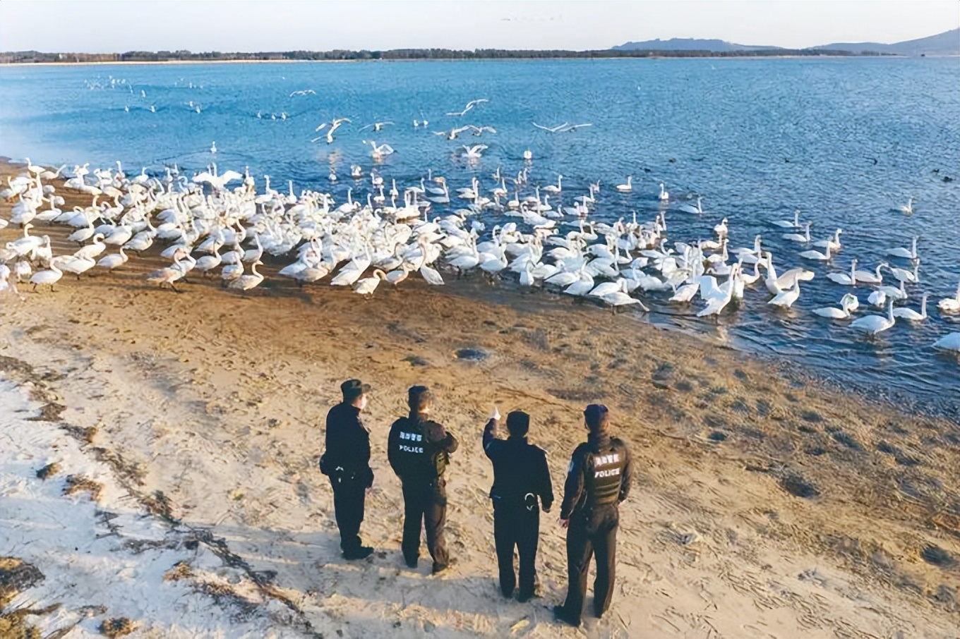 山东2019公安十大新闻,山东公安新政最全解读