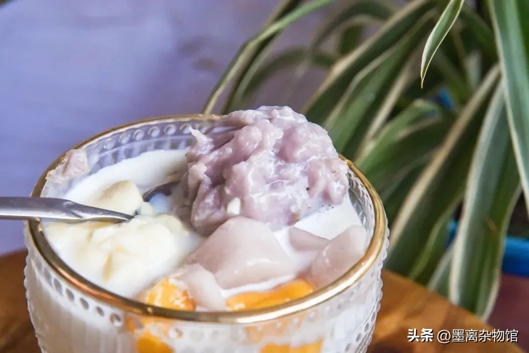 有一种植物浑身都是刺,形似芋头的有毒植物