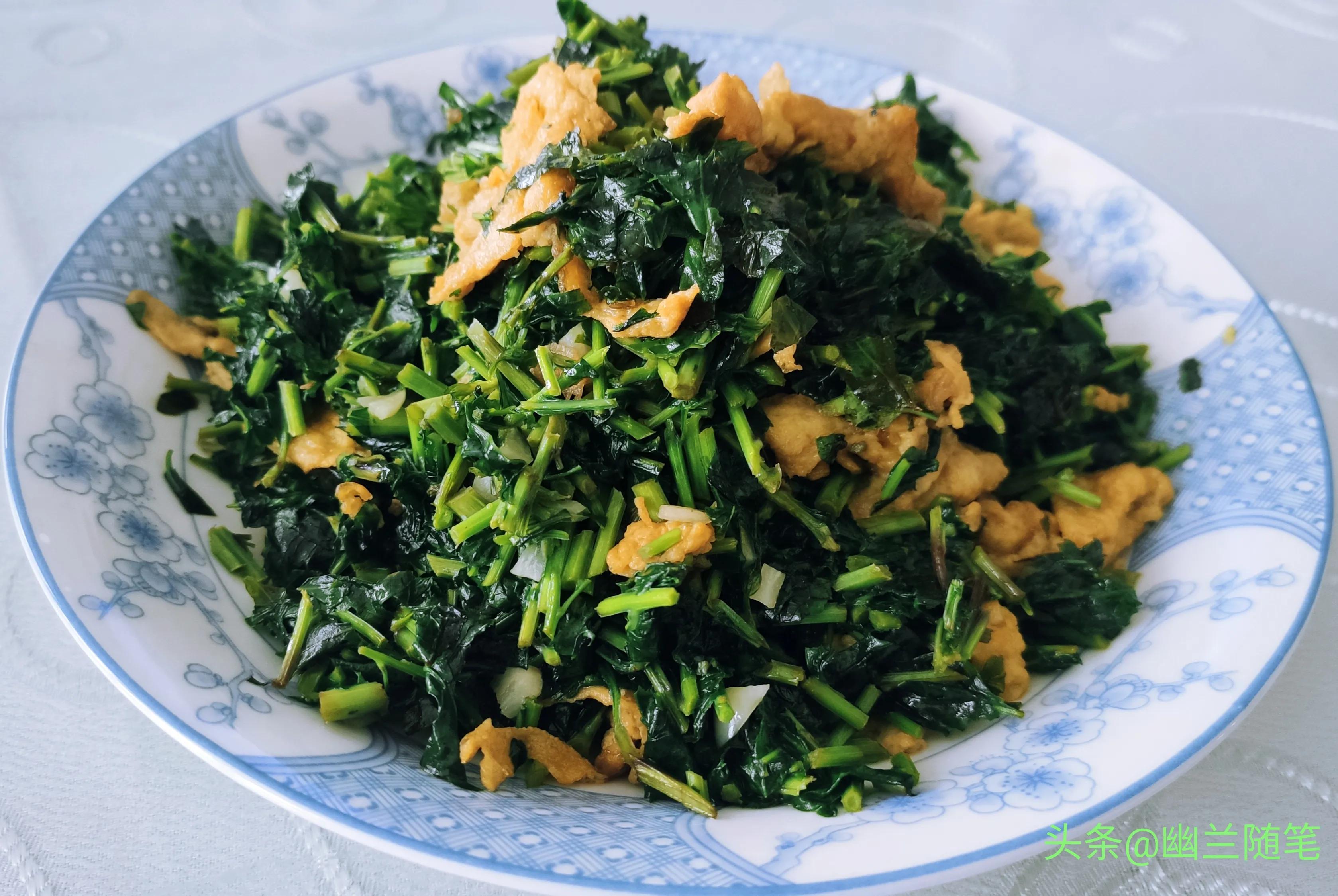 野菜枸杞芽苗,枸杞头野菜有哪些