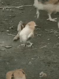 昨晚上喝多了把这个扛回了家，现在酒醒了，我该怎么办？