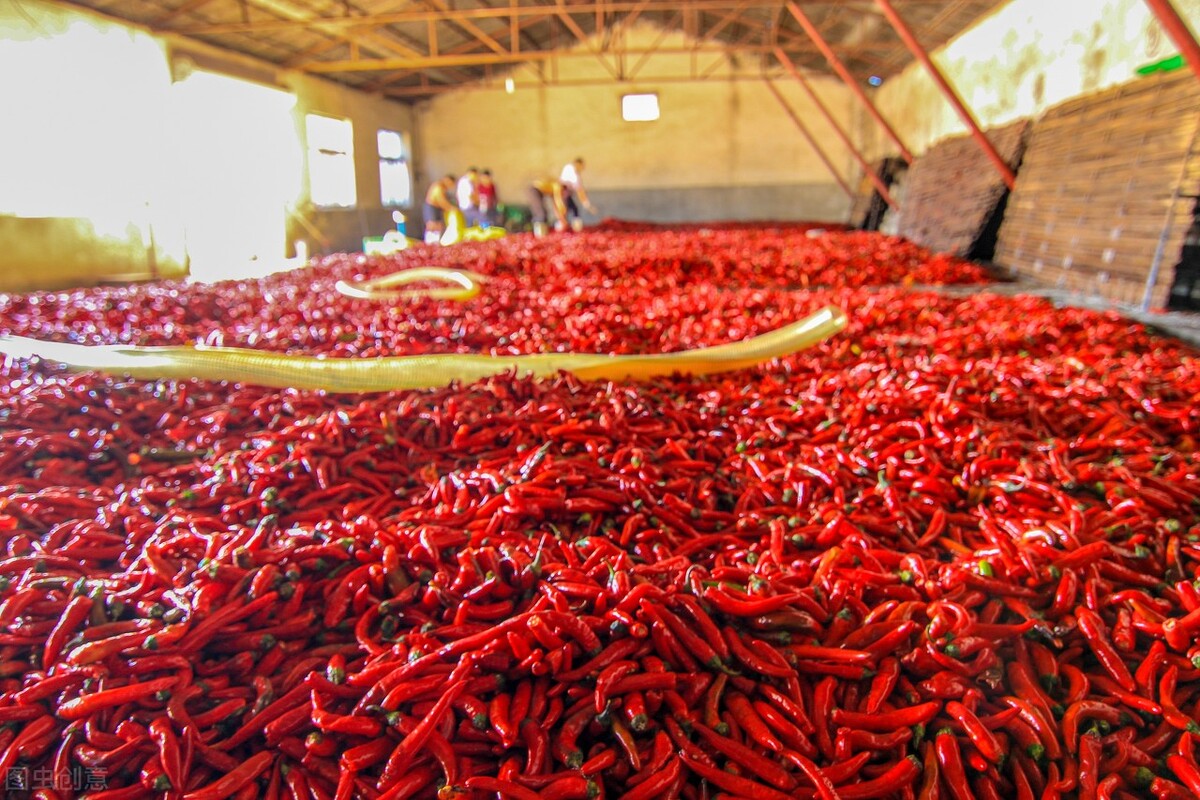 湖南你不知道的小知识,湖南十大冷知识排行