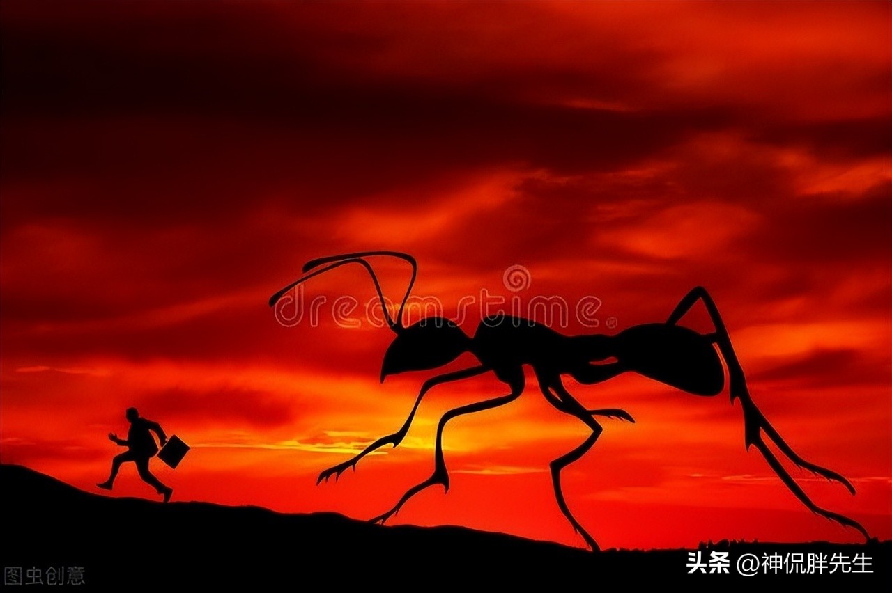 广东飞蚁有多可怕,广东人遇见飞蚁有多可怕