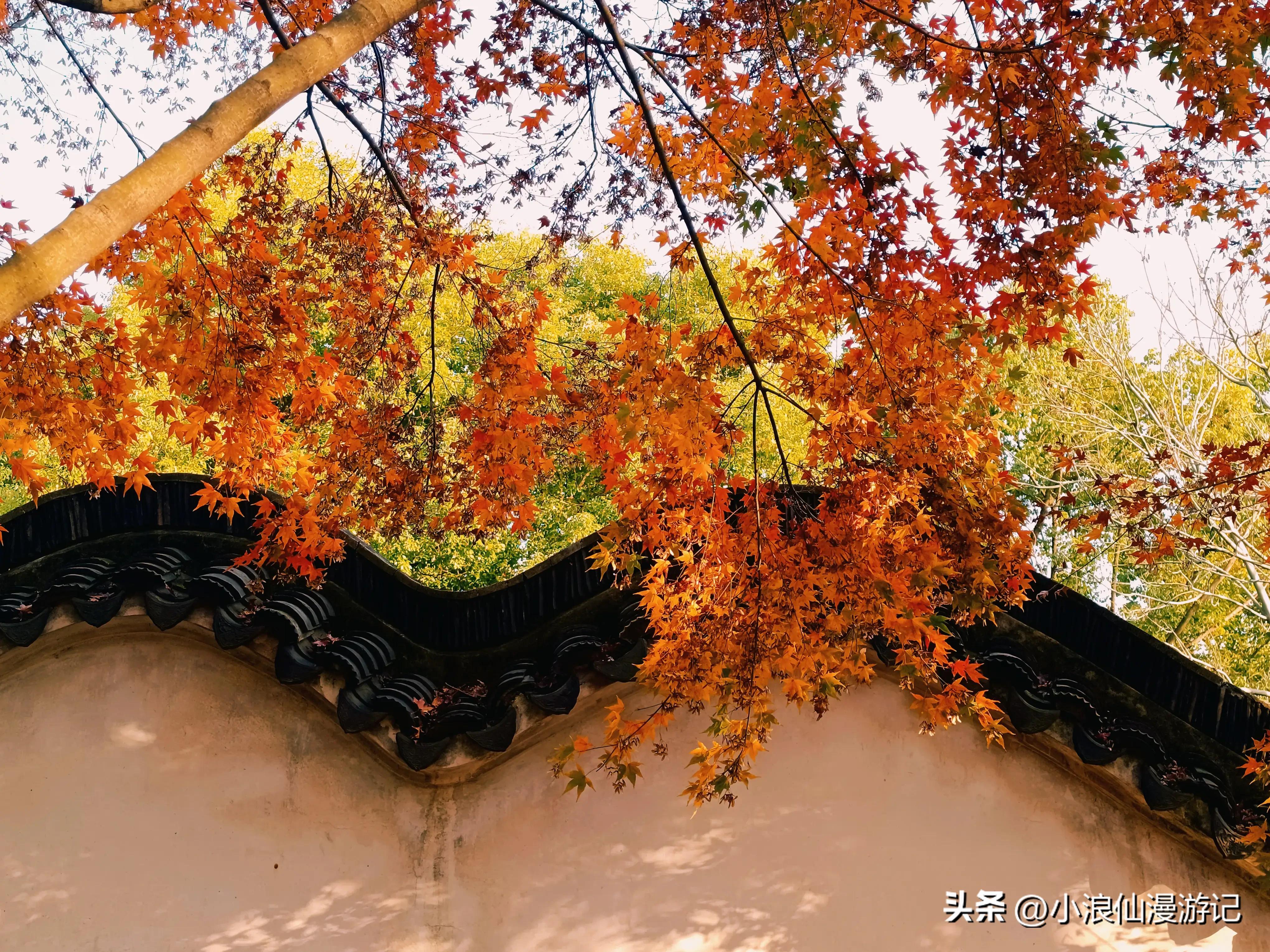 苏州天平山赏枫品茶的句子,苏州赏枫除了天平山还有哪
