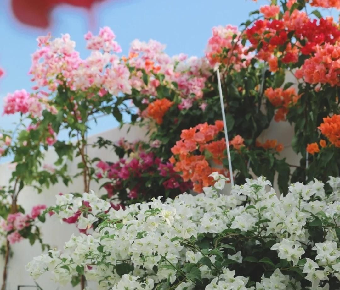 这10首诗词胜过你今年读过的鸡汤,五千年来最有哲理12句诗词太经典