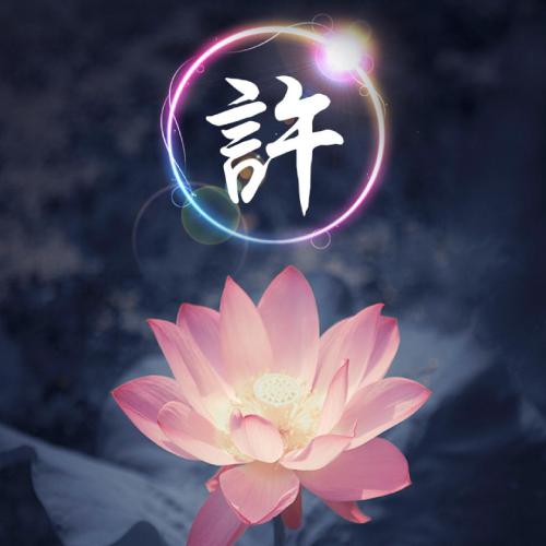 姓氏荷花头像图片大全,荷花姓氏头像图片大全