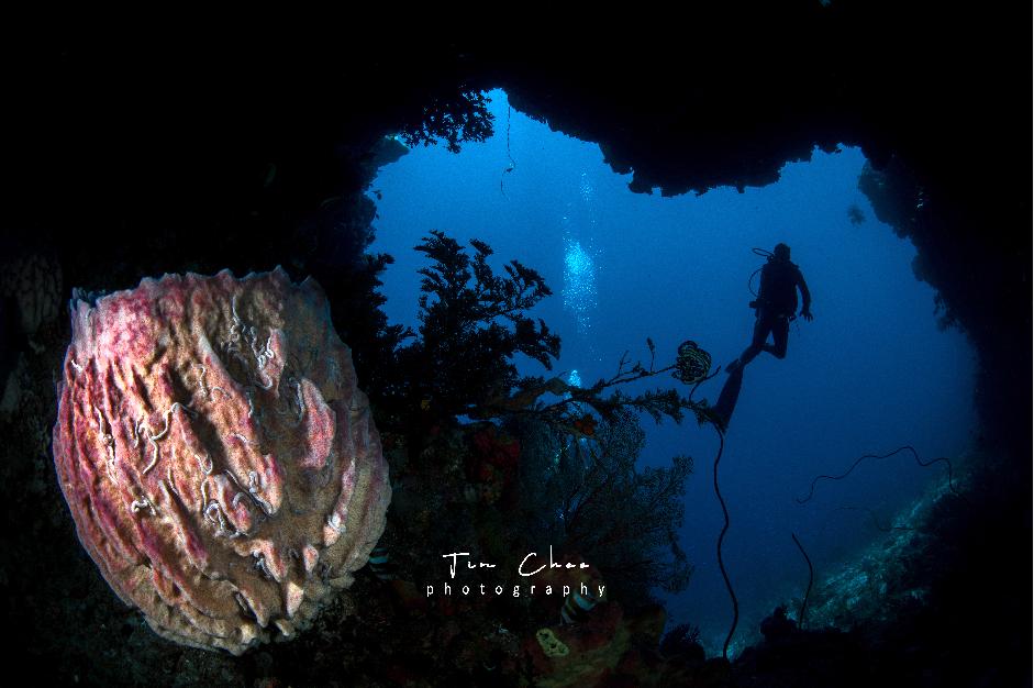 海陆空震撼炫酷视频,海陆空的全线飙战看得直呼过瘾