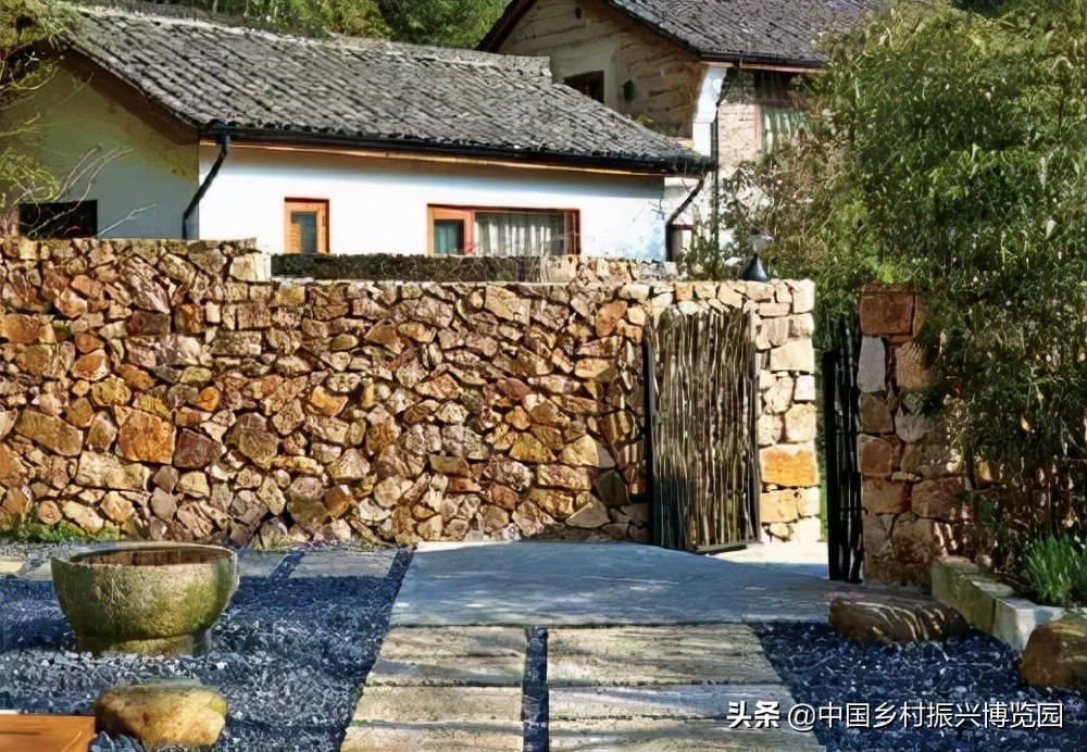 全国高校乡村振兴活动案例,乡村振兴巾帼行动优秀案例