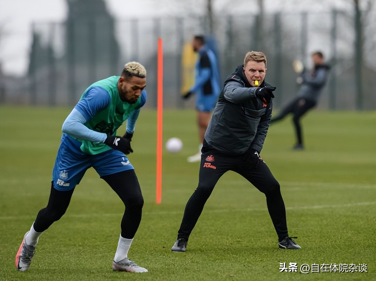 埃迪豪有多强,埃迪豪下课