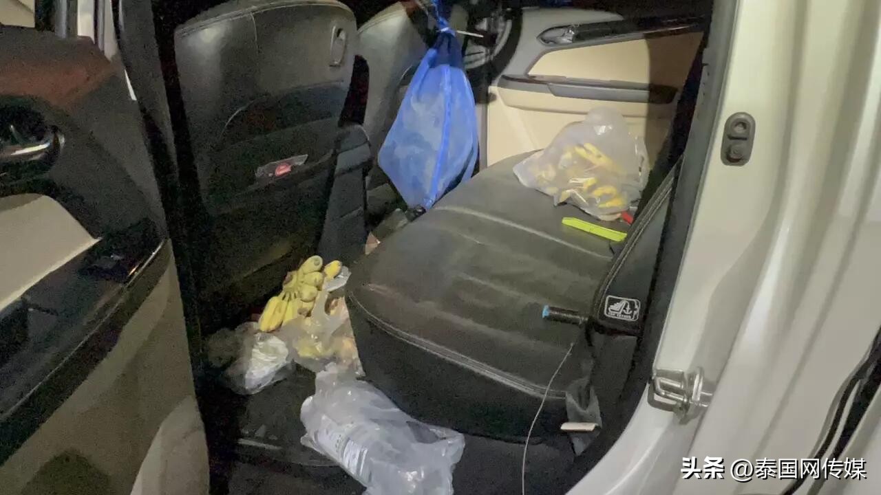 泰国猴子被捕名单,泰国猴子集体被逮捕