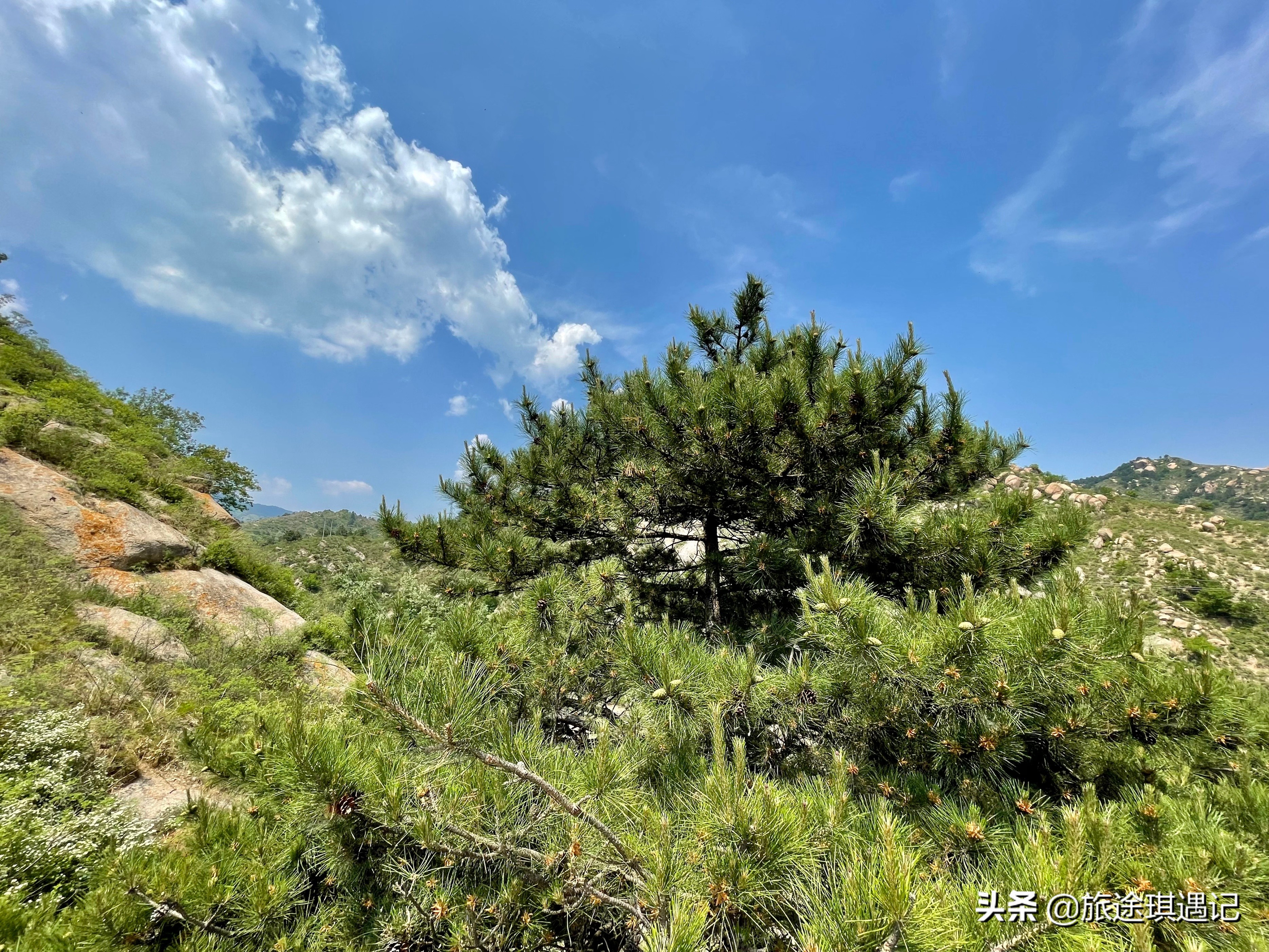 在保定也能感受边塞风情，十几个长城敌楼连成一片，让人大饱眼福