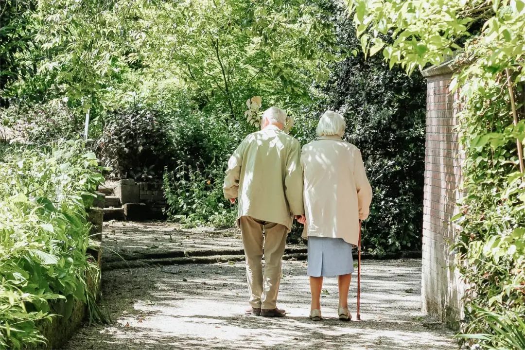 橡木为什么那么厉害,橡木特点