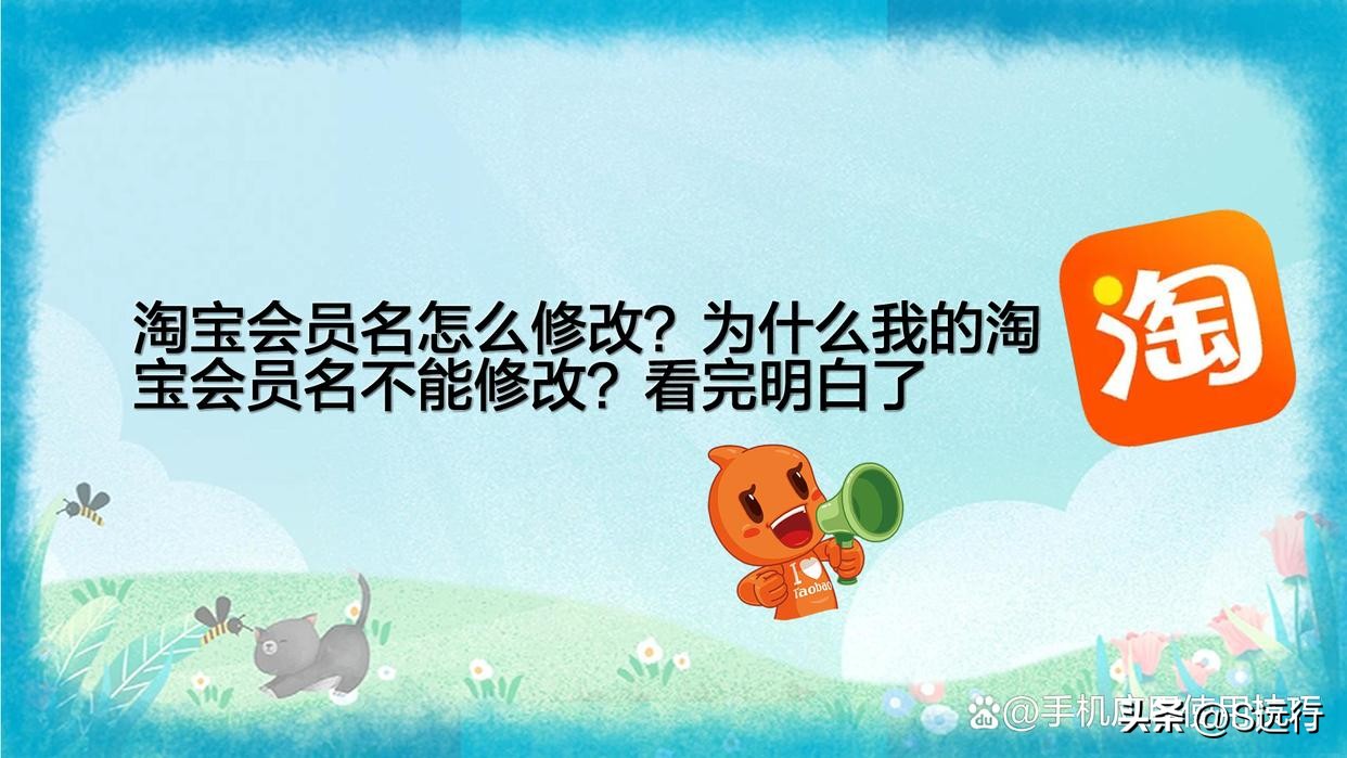 淘宝会员名注册时怎么设置会员名,淘宝会员名怎么可以修改