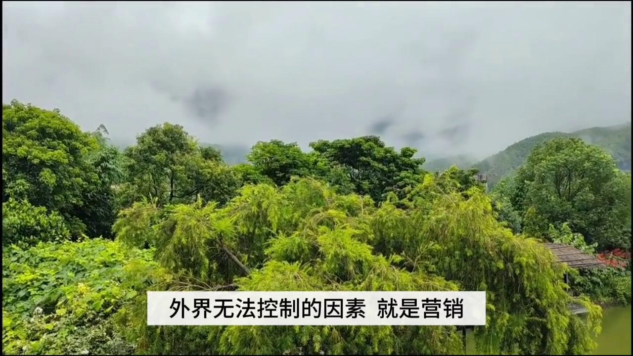 提升认知的目的,提升认知和能量维度