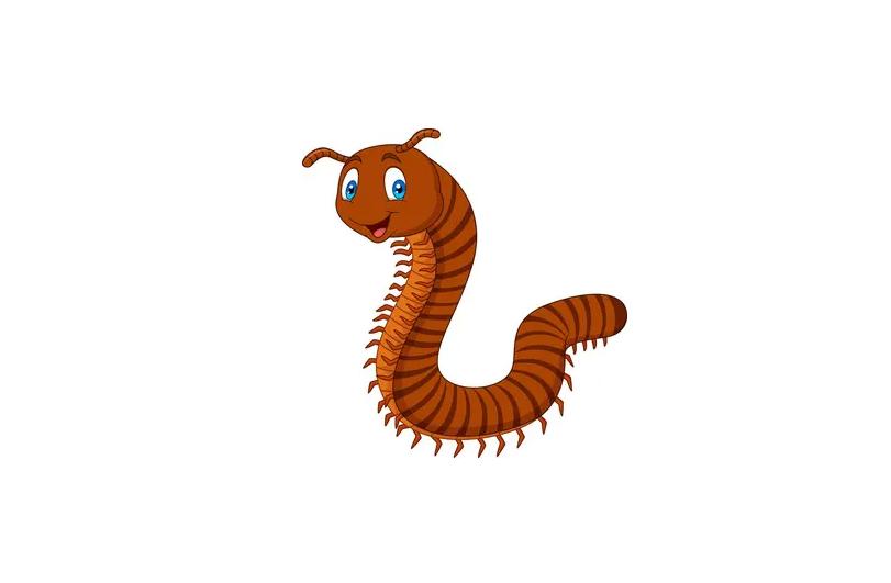 家里有条蜈蚣怎么防止它靠近,家里有蜈蚣怎么把它驱赶出去