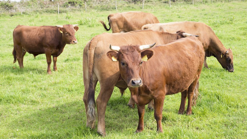 俄开放海参崴24小时，中国取消83万吨美国订单，拜登的时间不多了