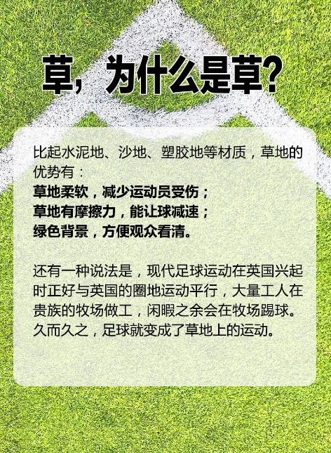 世界杯的草坪什么草,世界杯草地的草每一场比赛都换吗