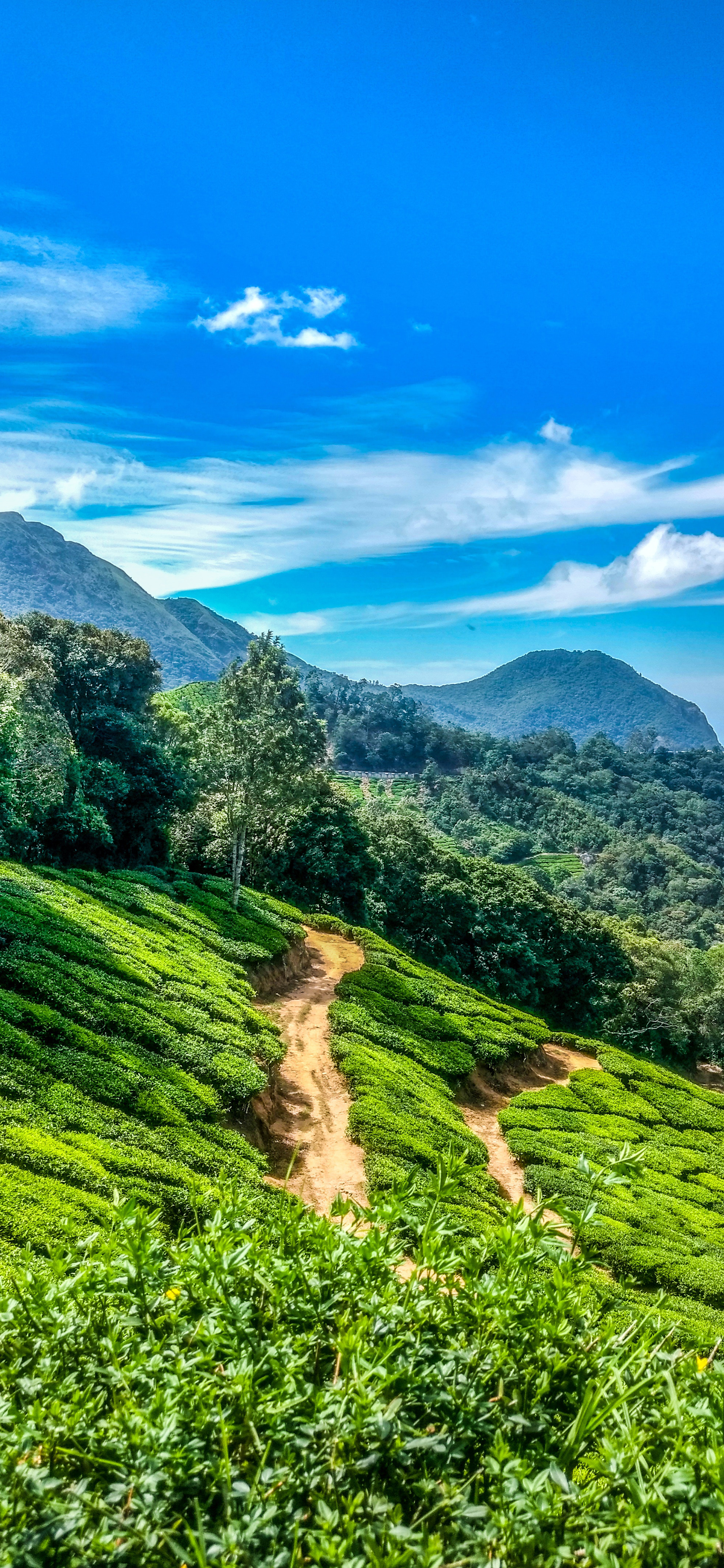 iphone13promax手机壁纸,iphone13promax壁纸4k全面屏