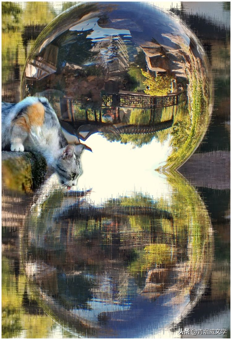 为艺术多一次曝光